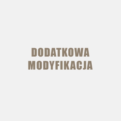 Usługa dodatkowej modyfikacji